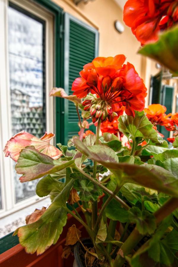 B&B Grazia Capua Eksteriør billede